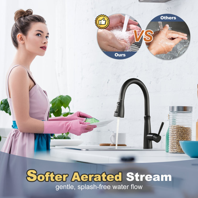Matte Black Stainless Steel Pull-Down Kitchen Faucet with Spray