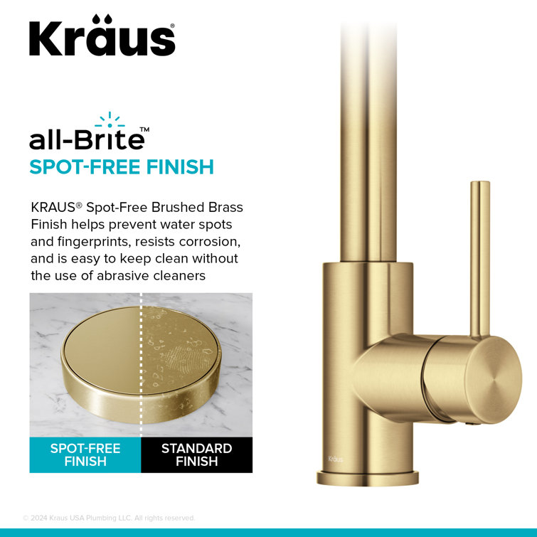 Brushed Brass Pull Down Kitchen Faucet with Spray