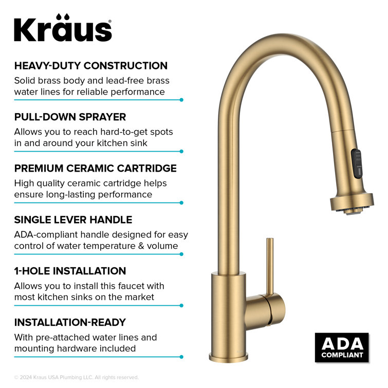 Brushed Brass Pull Down Kitchen Faucet with Spray