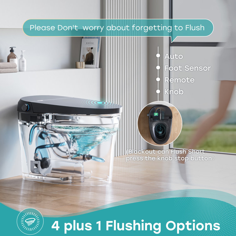 Black Vitreous China Smart Toilet with Dual Flush and Bidet