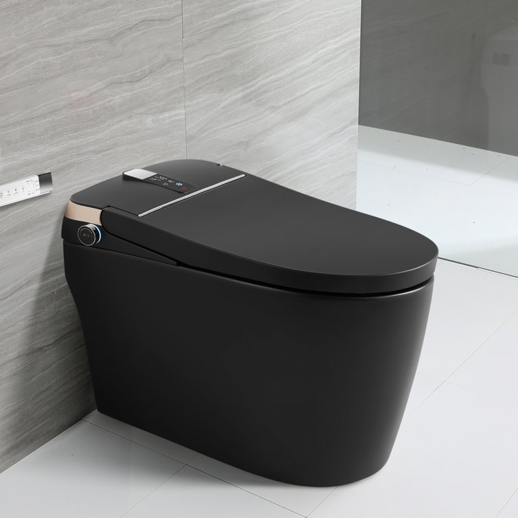 Matte Black Elongated One-Piece Smart Bidet Toilet with Dual Flush