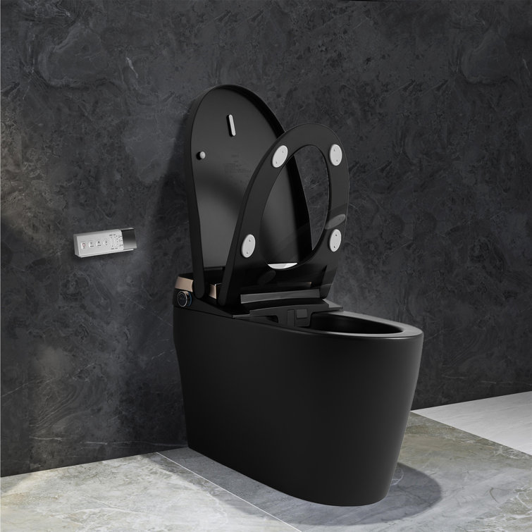 Matte Black Elongated One-Piece Smart Bidet Toilet with Dual Flush