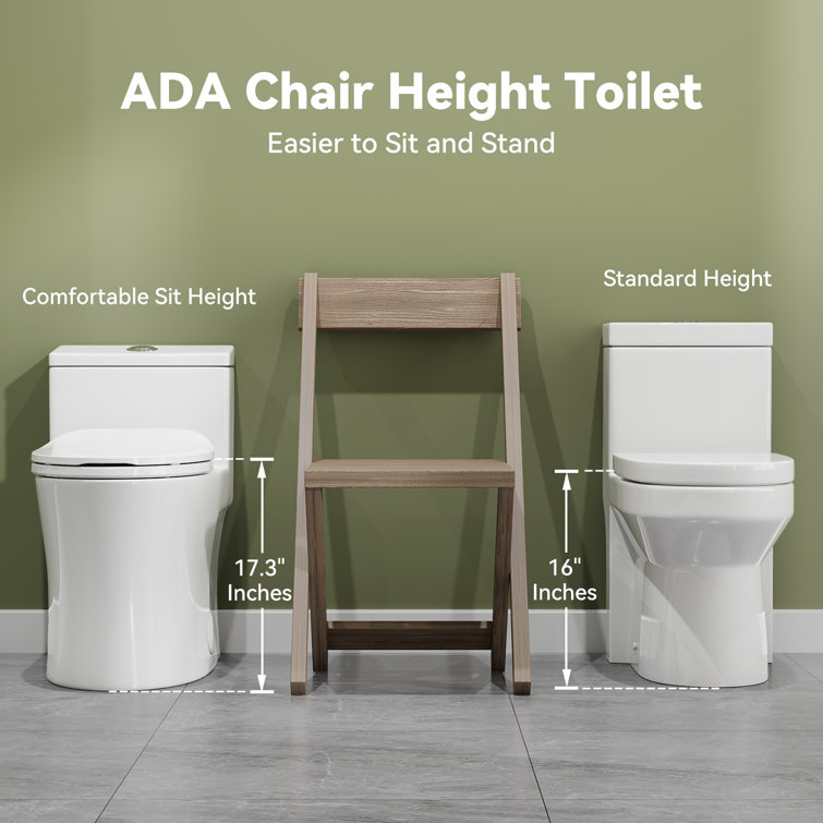 White Porcelain Elongated Dual Flush ADA Toilet with Bidet Seat
