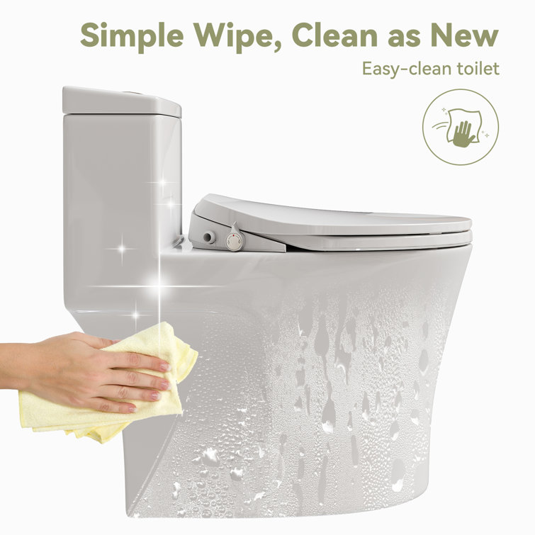 White Porcelain Elongated Dual Flush ADA Toilet with Bidet Seat