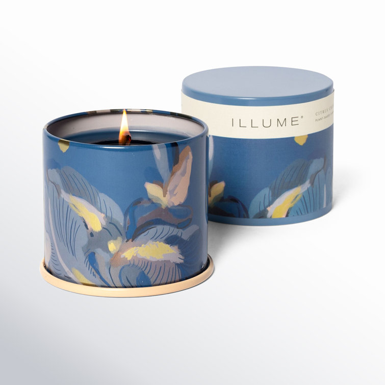 Blue Glass Citrus Crush Scented Candle