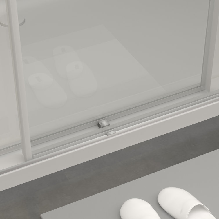 73 in Brushed Silver Frameless Double Sliding Shower Door