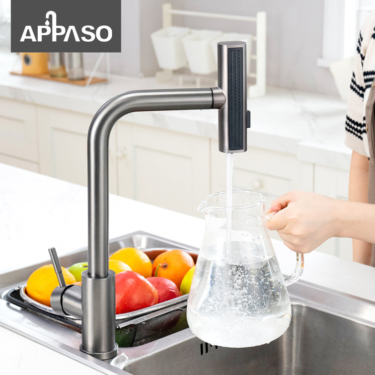 Stainless Steel Pull-Out Spray Kitchen Faucet with Deck Plate