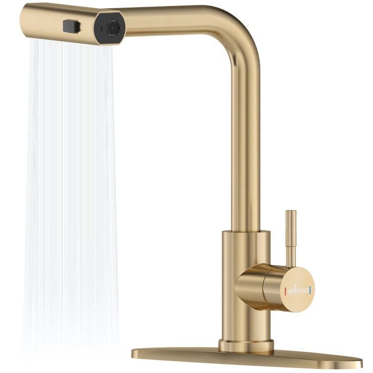 Brushed Gold High Arch Kitchen Faucet with Pull Down Sprayer