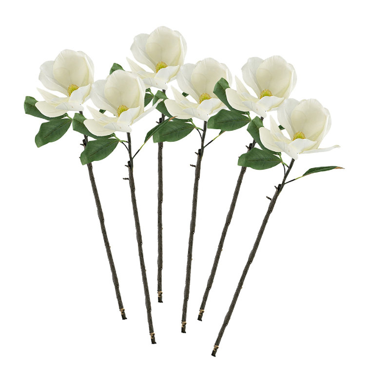 White Plastic Magnolia Stems Set of 6