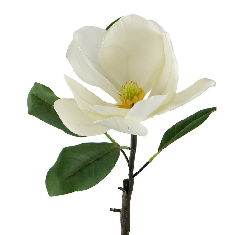 White Plastic Magnolia Stems Set of 6