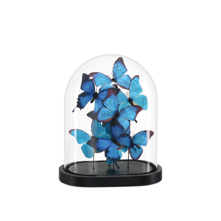 Blue and Black Butterfly Sculpture with Clear Glass Dome on Wood Base