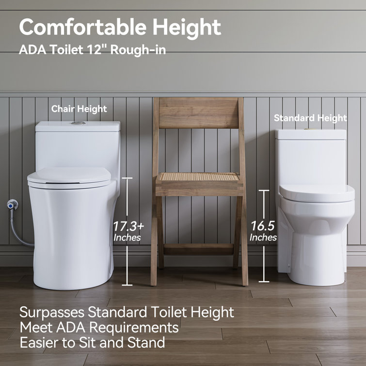 Matte White Elongated Dual Flush One-Piece Toilet