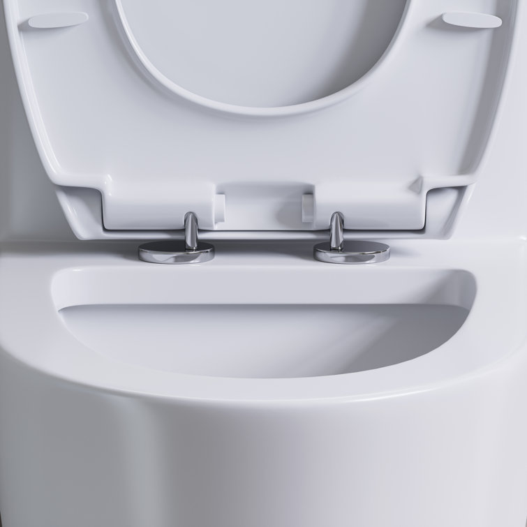 Matte White Elongated Dual Flush One-Piece Toilet