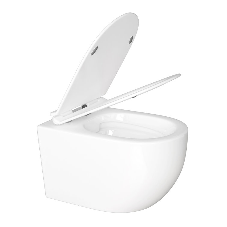 Hampton White Wall Mounted Dual Flush Toilet