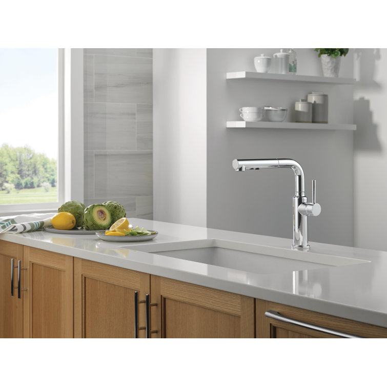 Daneri Chrome Pull-Out Sprayer Kitchen Faucet with Lever Handle