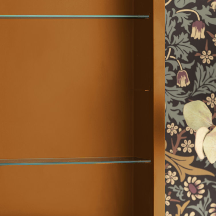 Gold Arched Metal Medicine Cabinet with Mirror