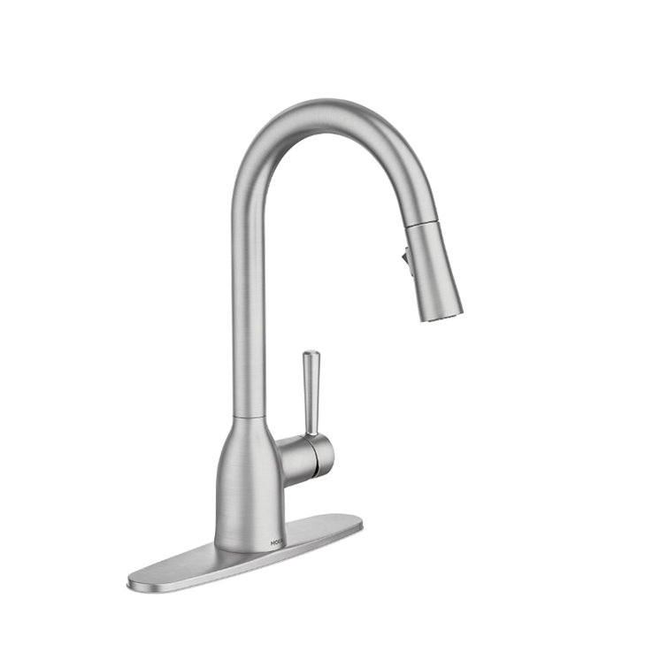 Adler Stainless Steel Pull-Down Kitchen Faucet with Spray