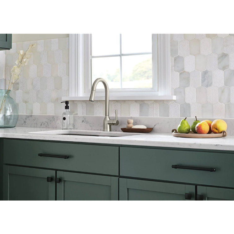 Adler Stainless Steel Pull-Down Kitchen Faucet with Spray