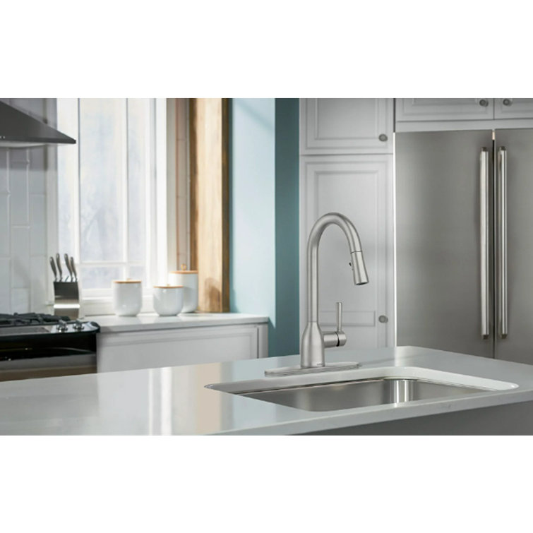 Adler Stainless Steel Pull-Down Kitchen Faucet with Spray