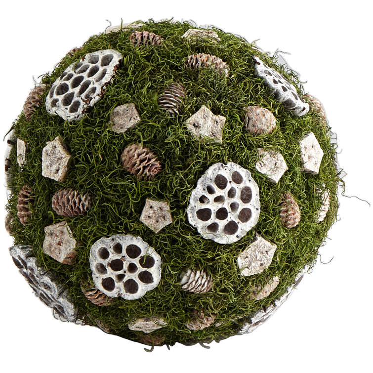 Willa Green 12" Contemporary Modern Dried Botanical Arrangement