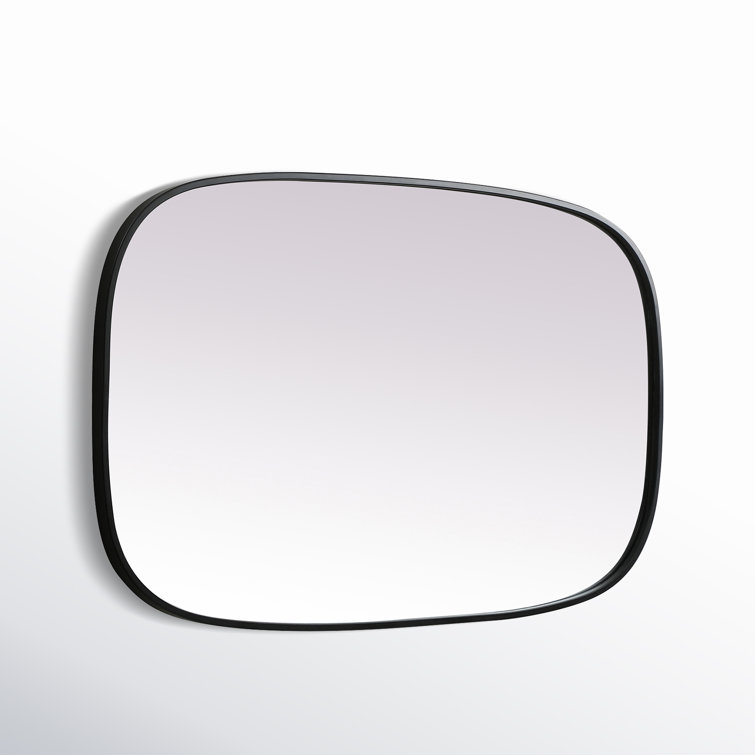 Black Metal Frame Oval Wall Mirror 24 x 40 Inch
