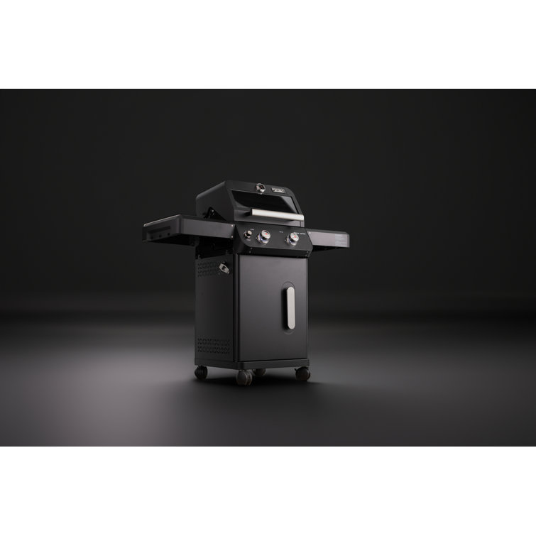 Mesa Black 2-Burner Stainless Steel Propane Gas Grill with LED Controls