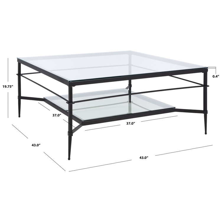 Mieka Black Iron and Glass Square Coffee Table with Storage
