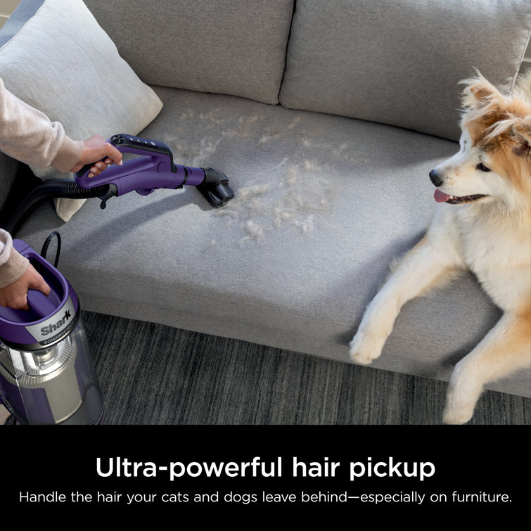 Shark Purple Bagless Upright Vacuum with HEPA Filter