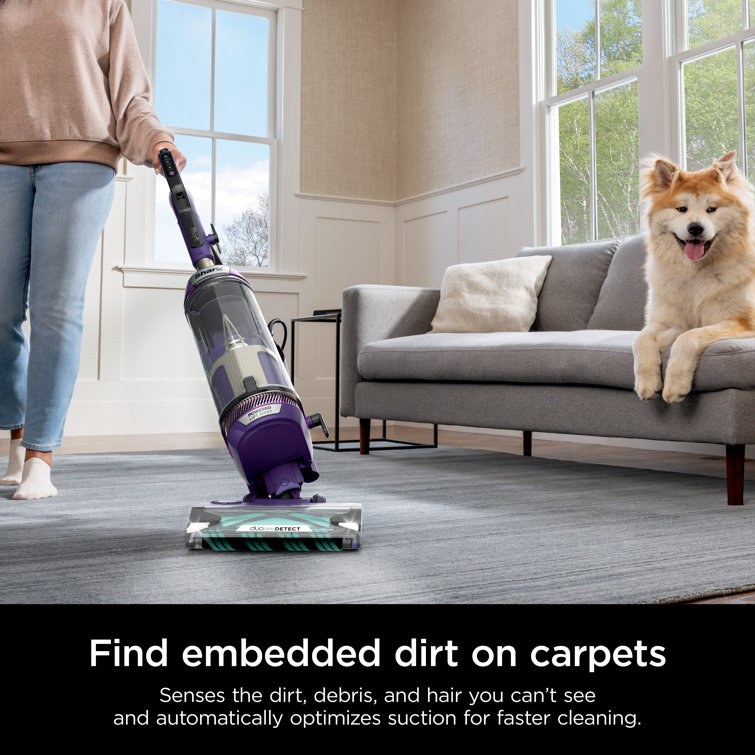 Shark Purple Bagless Upright Vacuum with HEPA Filter