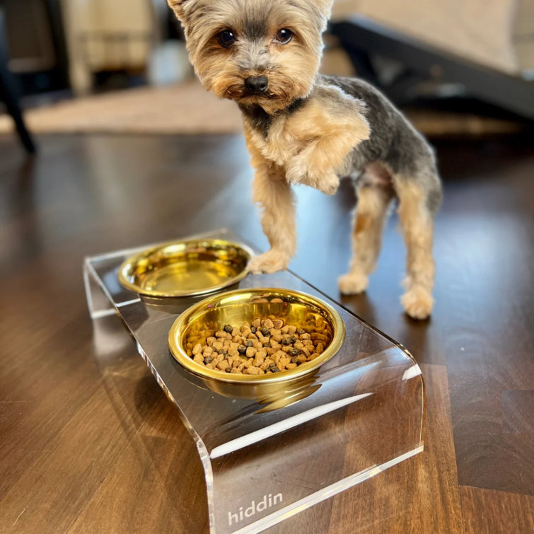 Small Clear Acrylic Elevated Feeder with Gold Bowls
