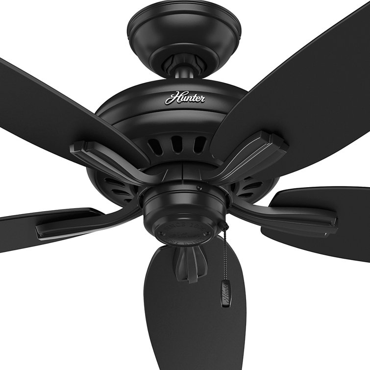 Newsome Matte Black 52" Indoor/Outdoor Ceiling Fan with Pull Chain