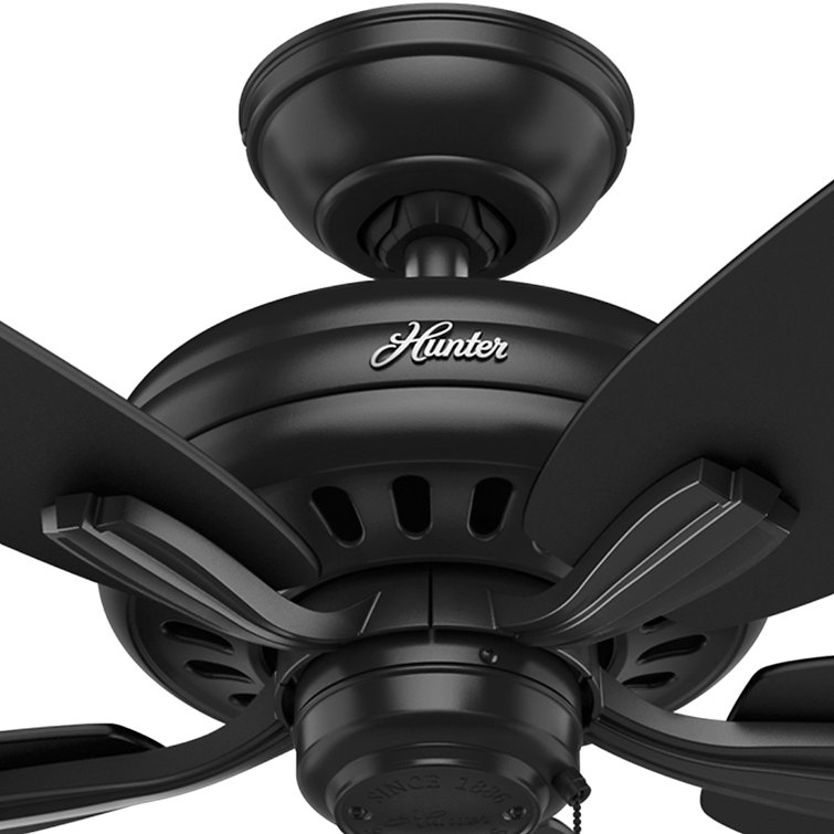 Newsome Matte Black 52" Indoor/Outdoor Ceiling Fan with Pull Chain