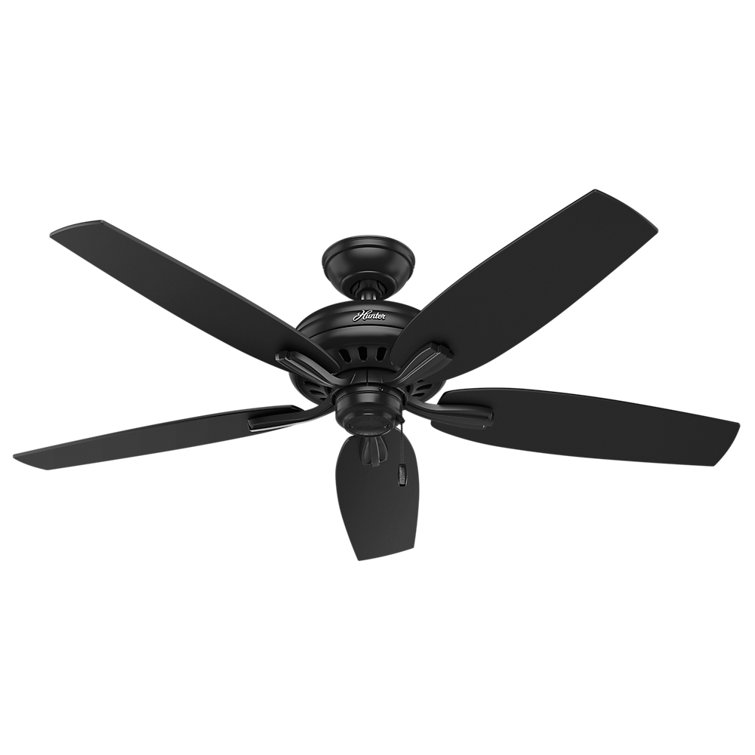 Newsome Matte Black 52" Indoor/Outdoor Ceiling Fan with Pull Chain