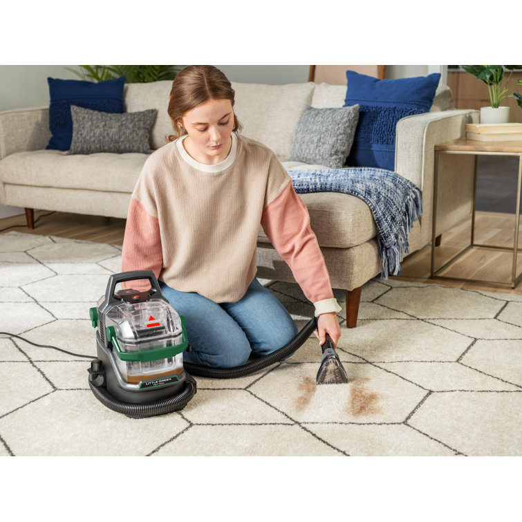 Little Green Portable Carpet and Upholstery Cleaner with Pet Pro Tools