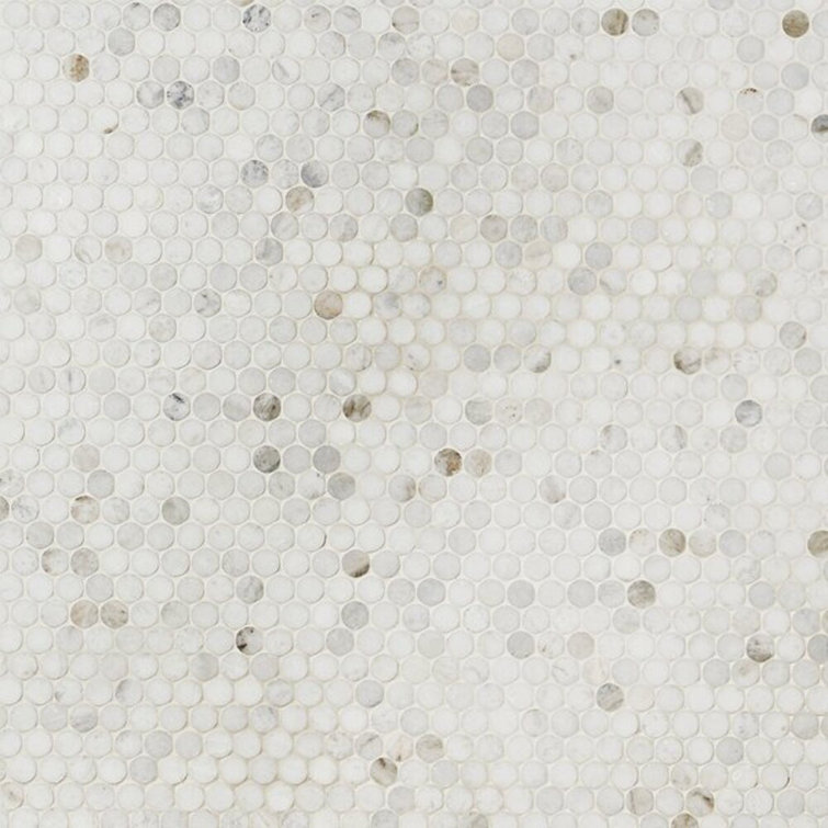 Polar White Penny Round Polished Marble Mosaic Tile