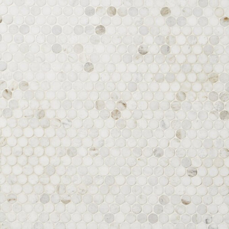 Polar White Penny Round Polished Marble Mosaic Tile