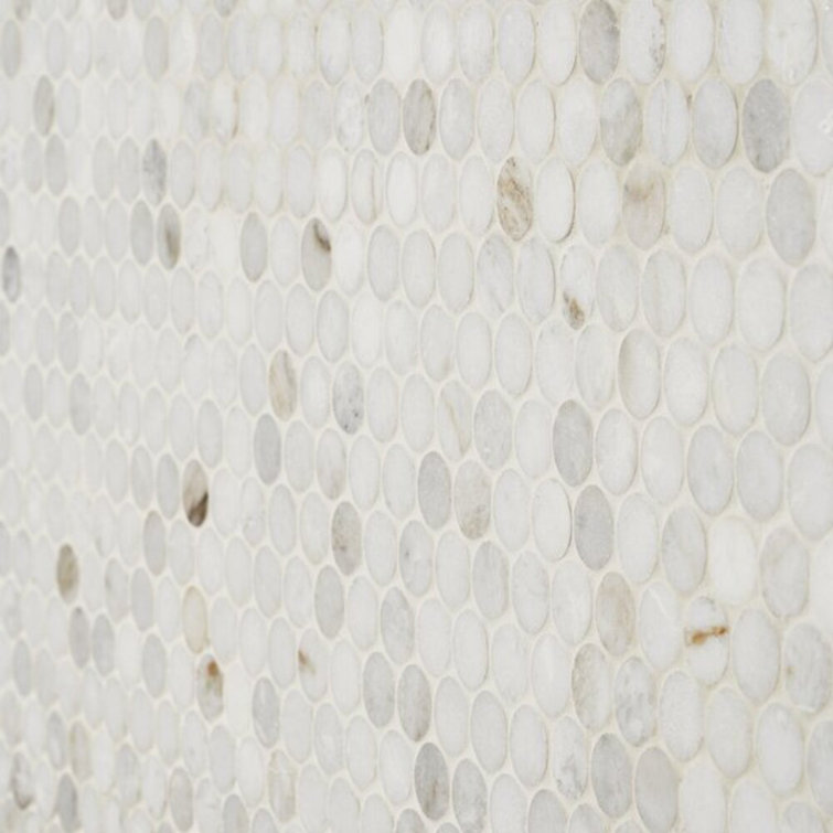 Polar White Penny Round Polished Marble Mosaic Tile