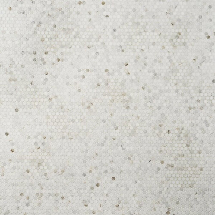 Polar White Penny Round Polished Marble Mosaic Tile