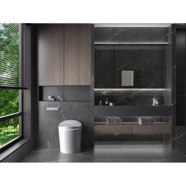 White Elongated Smart Bidet Toilet with Heated Seat and Wireless Remote