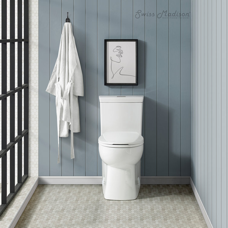 Glossy White Elongated Dual Flush One-Piece Toilet