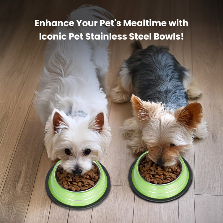 Green Stainless Steel Non-Skid Pet Bowl, 16 Oz