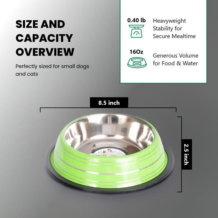 Green Stainless Steel Non-Skid Pet Bowl, 16 Oz