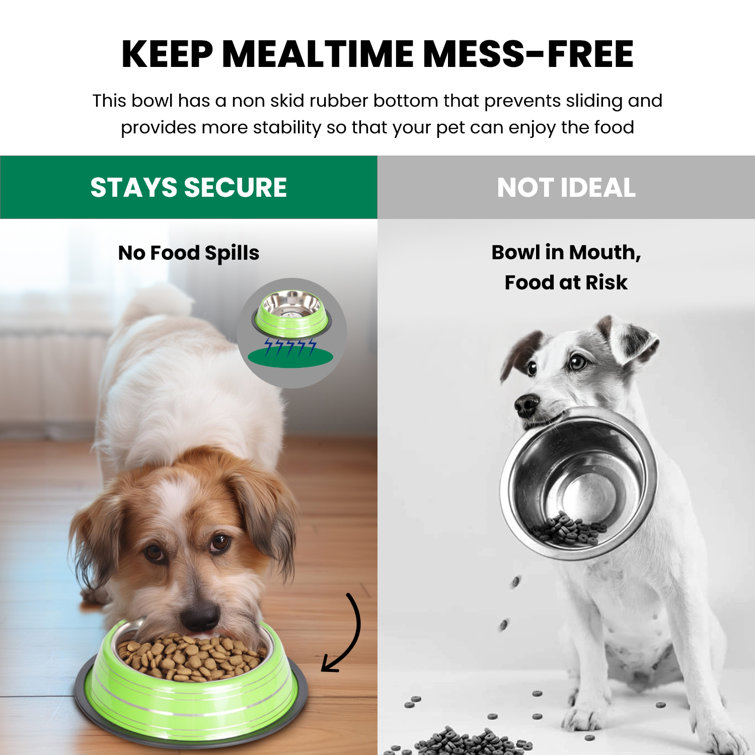 Green Stainless Steel Non-Skid Pet Bowl, 16 Oz