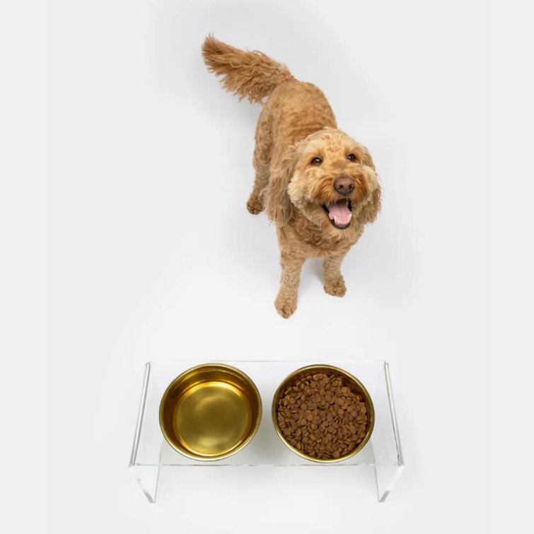 Small Clear Acrylic Double Pet Feeder with Gold Bowls