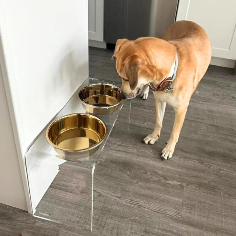 Small Clear Acrylic Double Pet Feeder with Gold Bowls
