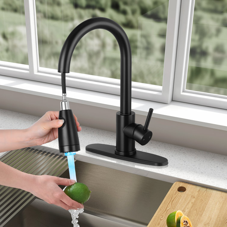 Matte Black High-Arc Single Handle Kitchen Faucet with Pull-out Spray