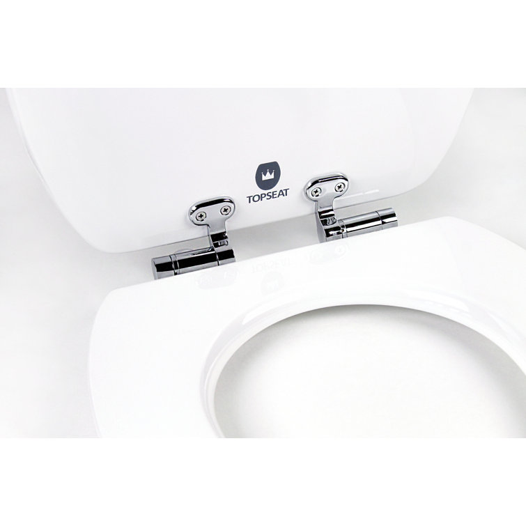 Beach Themed Blue Wood Elongated Toilet Seat with Acrylic Coating
