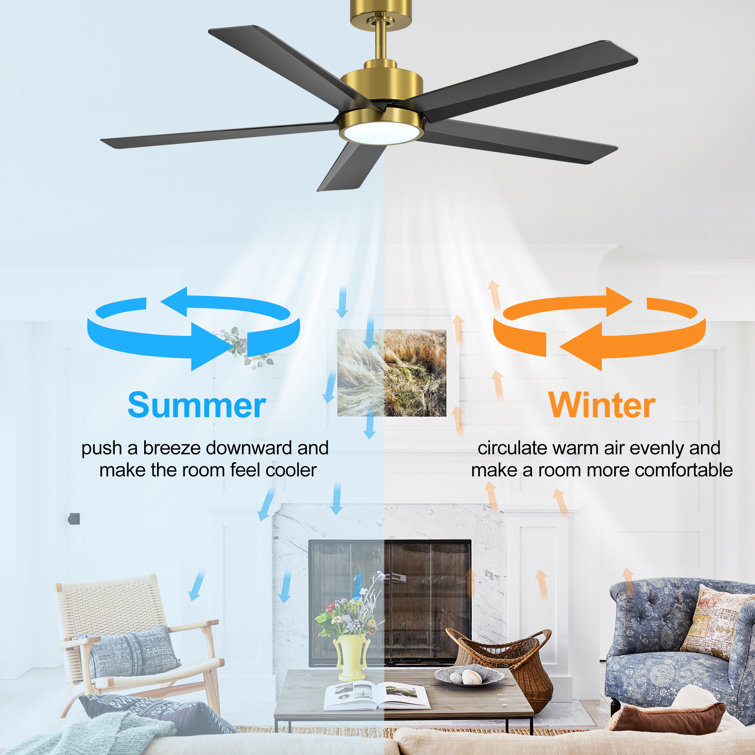Ulker 52'' Black and Gold Ceiling Fan with LED Light and Remote