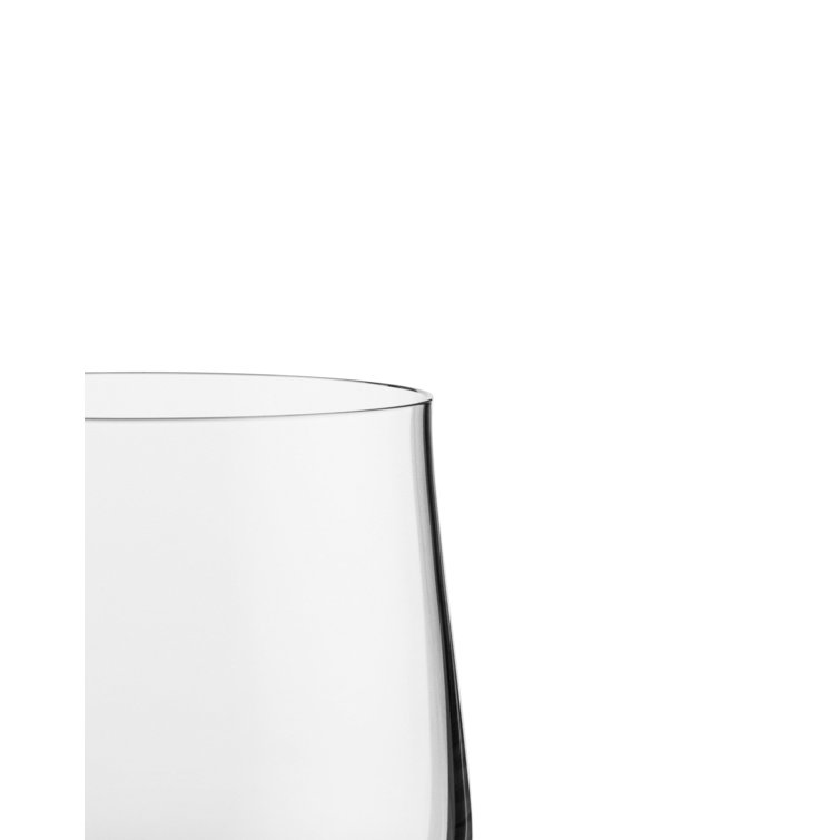 Eugenia 13.19oz Clear Crystal Water Glass Set of 4
