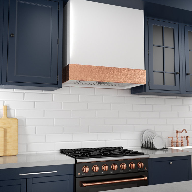 Akicon 30'' Stainless Steel Wall Mounted Range Hood